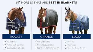 The Ultimate Horse Blanketing Guide Smartpak Equine