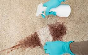 professional carpet cleaning in dubai
