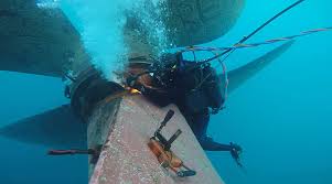 The idi also offers the gi bill for veterans who want to become certified. Wartsila Underwater Services