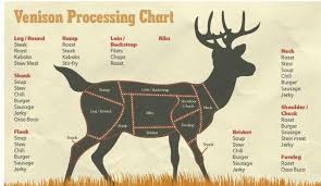 Venison Processing Chart Deer Meat Deer Recipes Deer