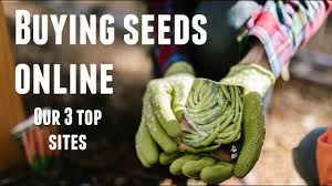 best place to seeds for your garden