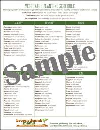 Vegetable Garden Planting Schedule