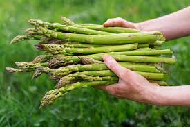 the best way to plant asparagus how