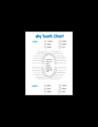 Baby Teeth Timeline Chart Templates At