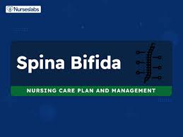 8 spina bifida nursing care plans