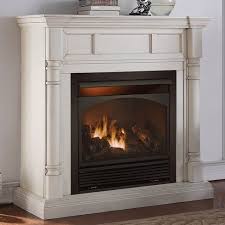 Gas Fireplace Propane Fireplace Gas
