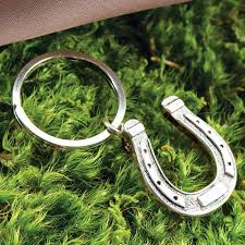 lucky horseshoe key ring jewelry
