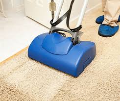best carpet cleaning wellington