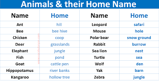 a z s and their homes names in