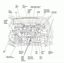 2001 nissan sentra expert review. 1995 Nissan Sentra Engine Diagram Wiring Diagram Star Work A Star Work A Casatecla It