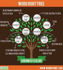 chrom o root word wordpandit