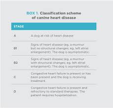 The cat is not a natural host for the heartworm parasite, dirofilaria immitis, and so the heartworm is not likely to complete its entire life cycle. Congestive Heart Failure In Canines Today S Veterinary Practice