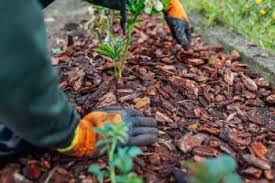 the benefits of using mulch in your