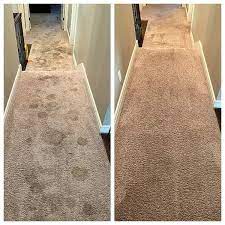 the 1 pet stain and odor removal in