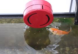 Ensure your fish are fed on schedule with a homemade fish feeder! Fin Feeder Is A Nano Automatic Fish Feeder On Kickstarter Reef Builders The Reef And Saltwater Aquarium Blog