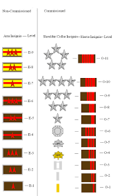 Marine Corps Rank Chart Free Image