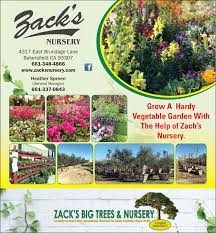 2022 Ad Zack S Big Trees Nursery