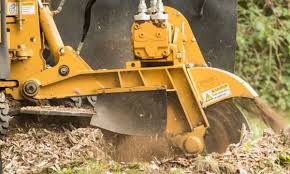 A stump grinder is a machine armed with a hydraulically controlled arm at the end of which is a steel cutting wheel with forged steel teeth set around the perimeter. Stump Grinding Faqs What You Need To Know About Stump Removal American Climbers