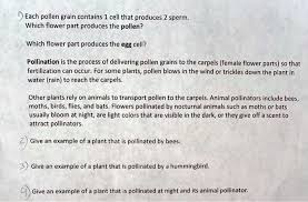 which flower part produces the egg cell