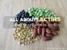All About Lectins In Food Good Or Bad Healthy Home Economist