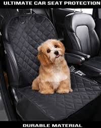 Pets Love Earth Car Front Seat Pet