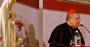 Image result for Photo Cardinal Raymond Burke with Massimo Faggioli