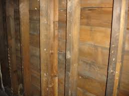 Old Termite Damage In Load Bearing