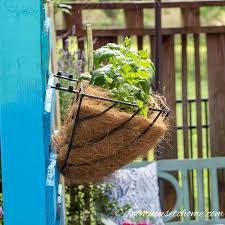 Diy Vertical Herb Garden The Easy Way
