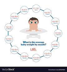 average baby weight baweight royalty