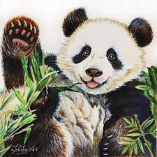 Panda Bear Watercolor Wall Art Home