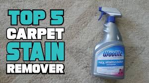 best carpet stain remover reviews 2023