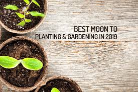 Learn The Best Moon For Planting In 2019 Wemystic