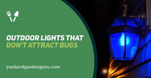 Outdoor Lights That Don T Attract Bugs