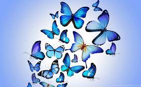 HD Purple Animated Butterfly Wallpapers ...