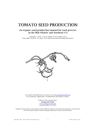 tomato seed ion an organic seed
