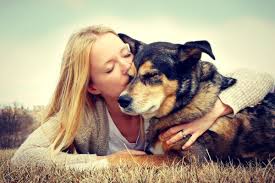 home pet euthanasia what is the cost