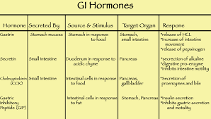 Human Hormones Chart Human Hormones And Endocrine
