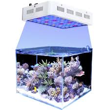 Cheap Saltwater Aquarium Led Lights Find Saltwater Aquarium Led Lights Deals On Line At Alibaba Com