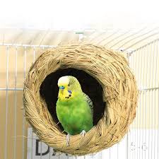 paille nid doiseau maison perroquet nid