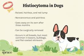 histiocytomas in dogs