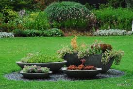 Pin On Gardening And Landscape