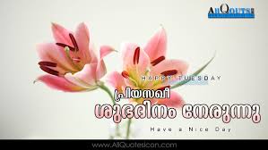 Share these good morning malayalam wishes with your friends on facebook, whatsapp. Happy Tuesday Images Good Morning Greetings In Malayalam Pictures Top Good Morning Wishes Malayalam Quotes For Whatsapp Messages Www Allquotesicon Com Telugu Quotes Tamil Quotes Hindi Quotes English Quotes