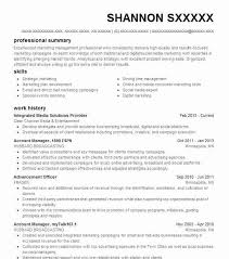 Download Project Manager Resume Example  Healthcare Project Resume Examples