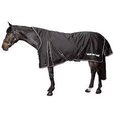 brianna turnout horse rug back on