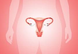 Resultado de imagem para 9 coisas que a menstruaÃ§Ã£o pode dizer sobre a sua saÃºde
