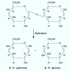 what are the hydrolysis s of i
