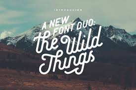 Best Typography Typeface Wild Calligraphy Cursive Images On
