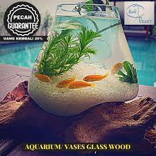#aquarium mini untuk meja kantor. Jual Akuarium Ikan Cupang Mini Xxl Kaca Tiup Akar Bali Aquascape Aquarium Unik Glasswood Wooden Craft Ikan Hias Ready Stock Pot Vas Online Maret 2021 Blibli