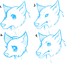 how to draw anime wolves anime wolves