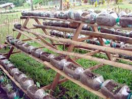 Container Gardening Vegetables